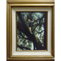 Girl in Griffith Park Tree